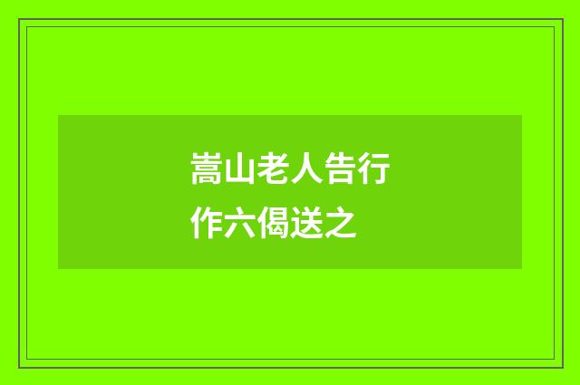 嵩山老人告行作六偈送之