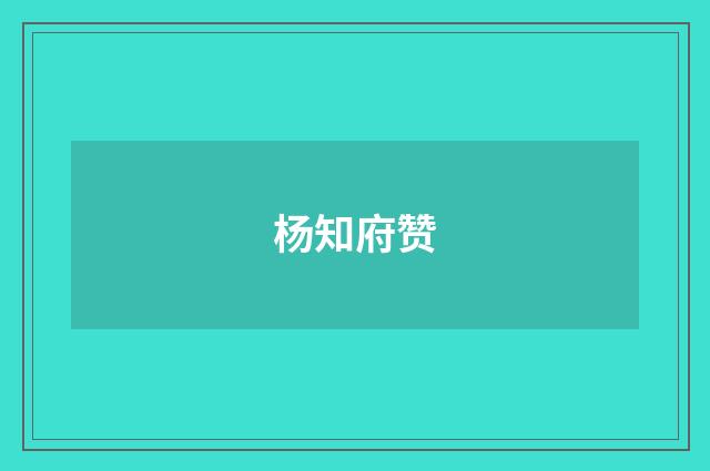 杨知府赞