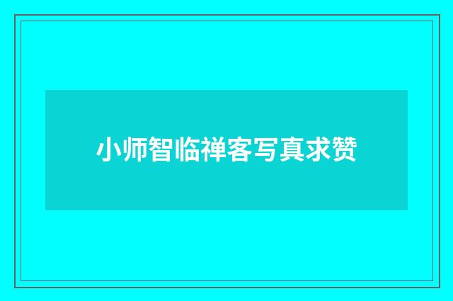 小师智临禅客写真求赞