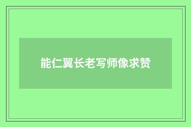 能仁翼长老写师像求赞