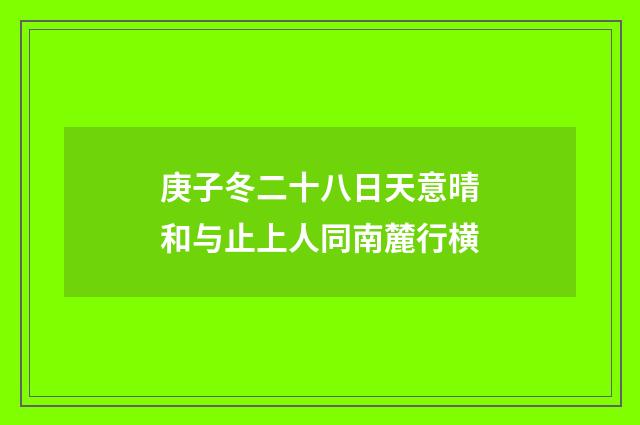 庚子冬二十八日天意晴和与止上人同南麓行横