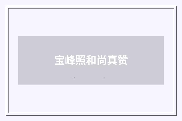 宝峰照和尚真赞