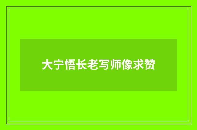 大宁悟长老写师像求赞