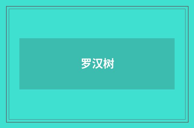 罗汉树