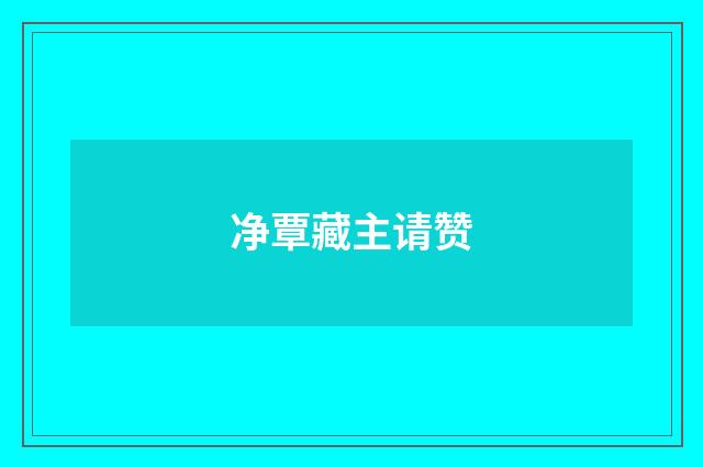 净覃藏主请赞