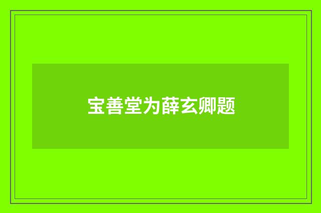 宝善堂为薛玄卿题