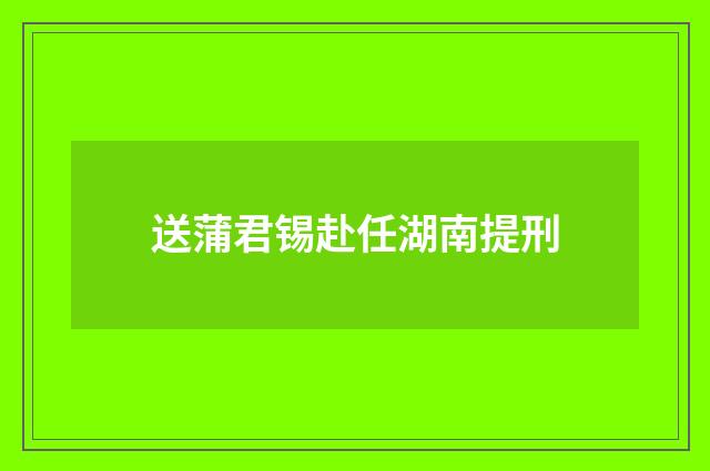 送蒲君锡赴任湖南提刑