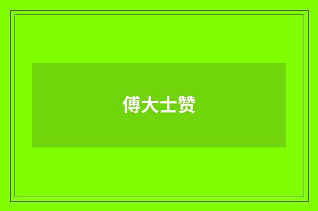 傅大士赞
