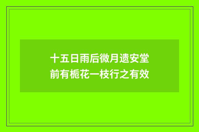 十五日雨后微月遗安堂前有栀花一枝行之有效