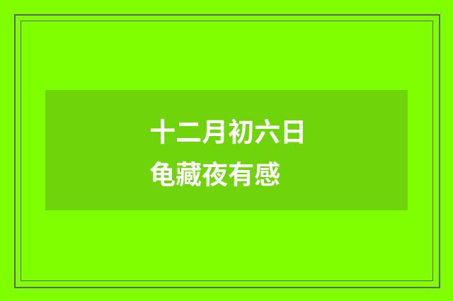 十二月初六日龟藏夜有感