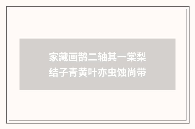 家藏画鹊二轴其一棠梨结子青黄叶亦虫蚀尚带