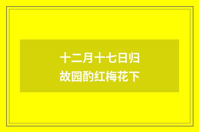 十二月十七日归故园酌红梅花下