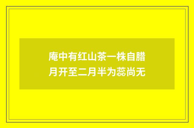 庵中有红山茶一株自腊月开至二月半为蕊尚无