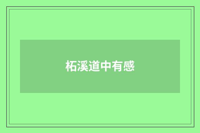 柘溪道中有感