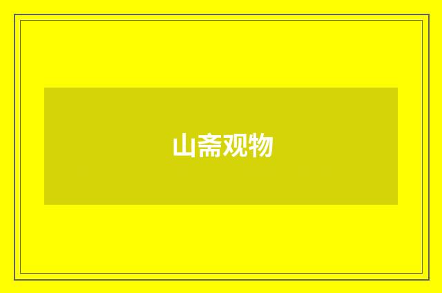 山斋观物