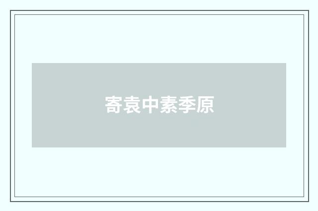 寄袁中素季原