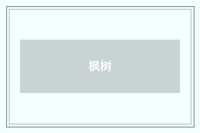 枫树