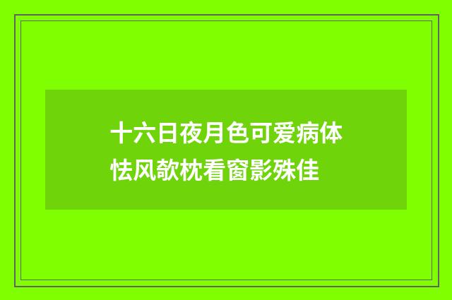 十六日夜月色可爱病体怯风欹枕看窗影殊佳