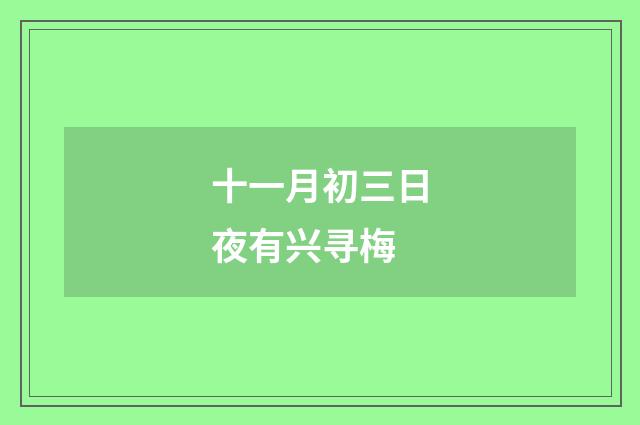 十一月初三日夜有兴寻梅