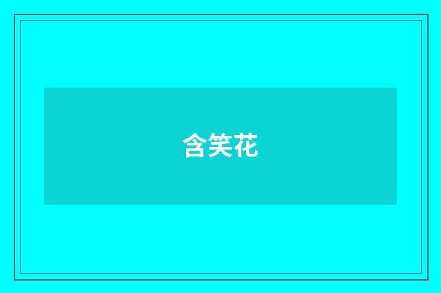含笑花