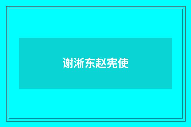谢淅东赵宪使