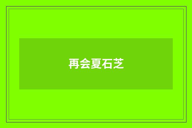 再会夏石芝