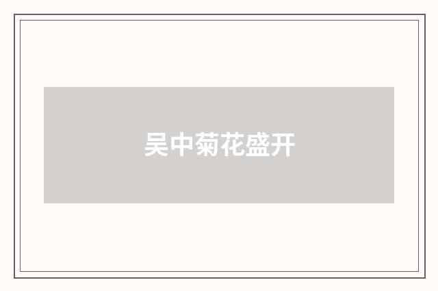 吴中菊花盛开