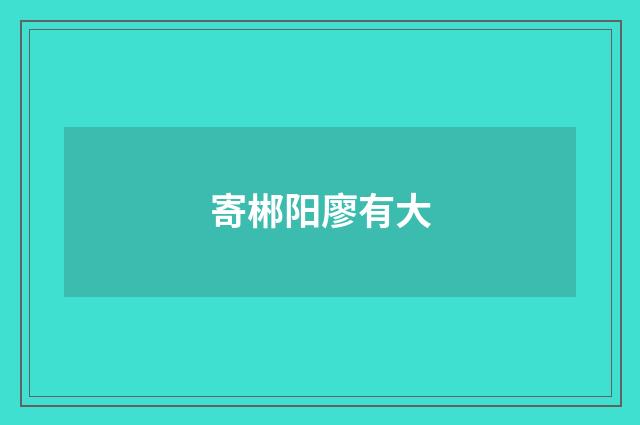 寄郴阳廖有大