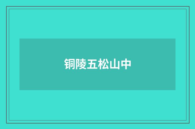 铜陵五松山中