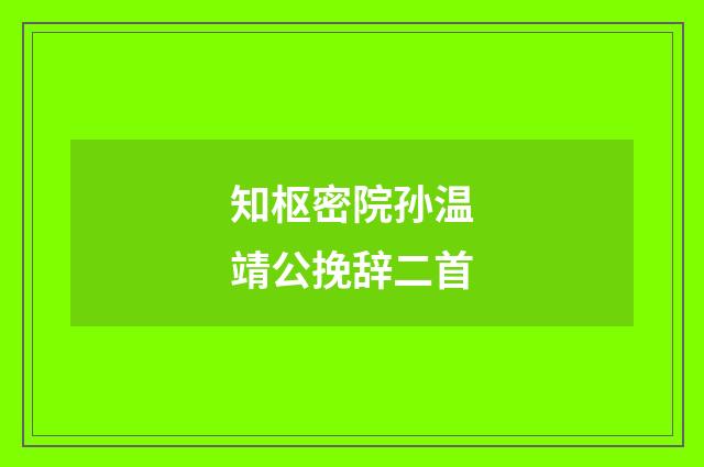 知枢密院孙温靖公挽辞二首