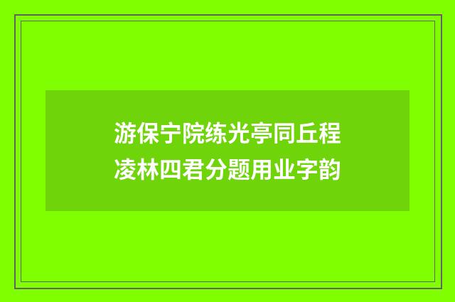 游保宁院练光亭同丘程凌林四君分题用业字韵