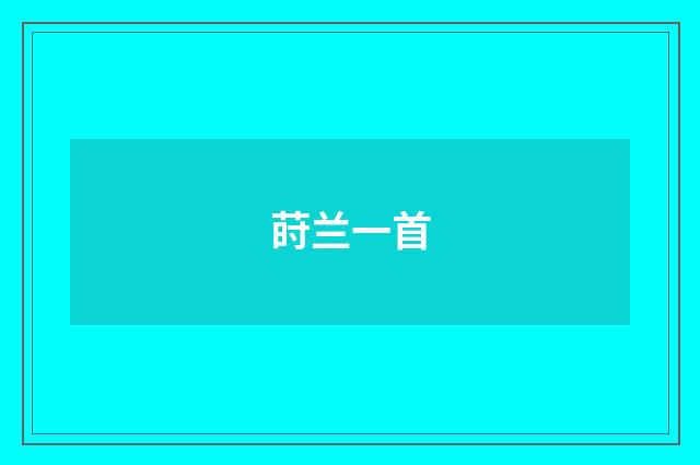 莳兰一首