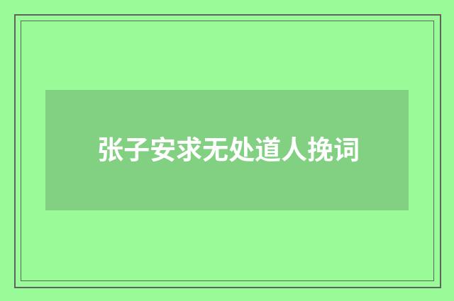 张子安求无处道人挽词