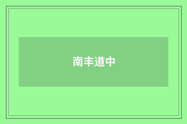 南丰道中