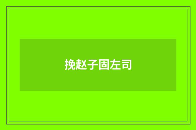 挽赵子固左司