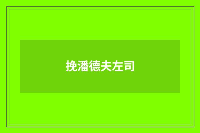 挽潘德夫左司