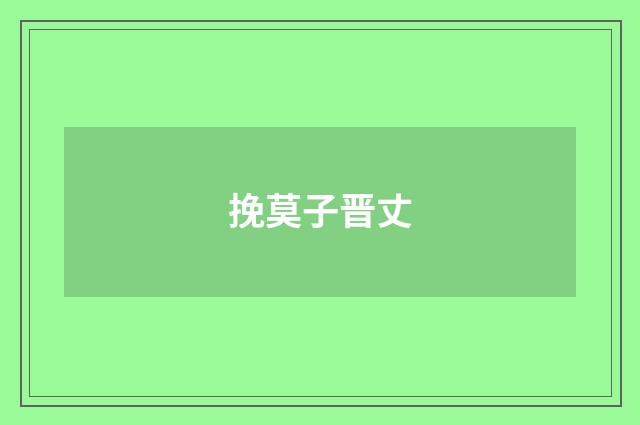 挽莫子晋丈