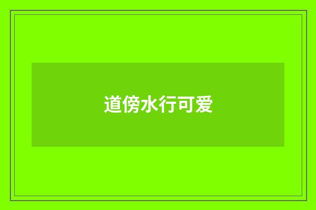 道傍水行可爱