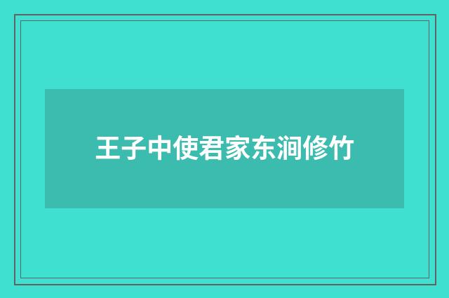 王子中使君家东涧修竹