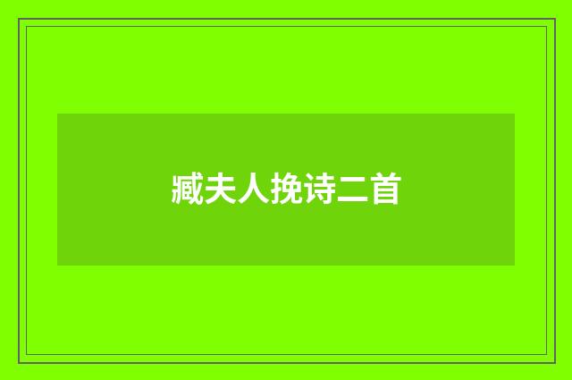 臧夫人挽诗二首