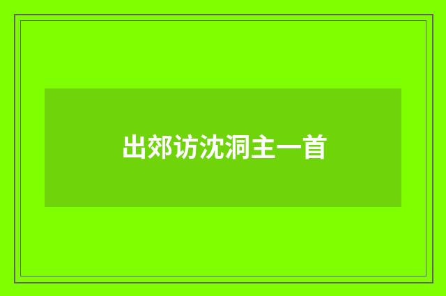 出郊访沈洞主一首