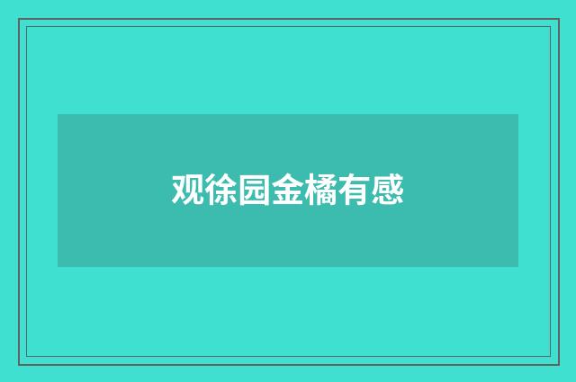 观徐园金橘有感