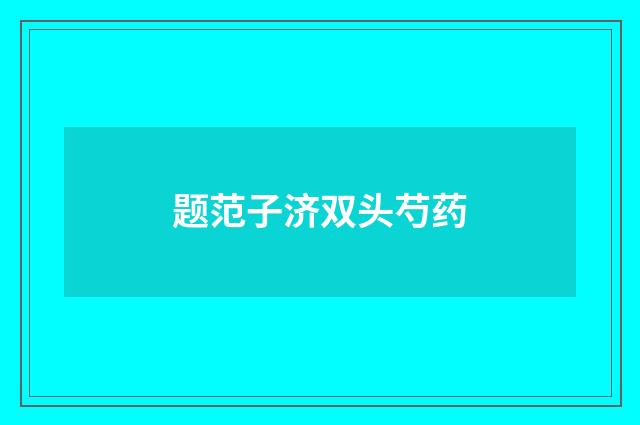 题范子济双头芍药