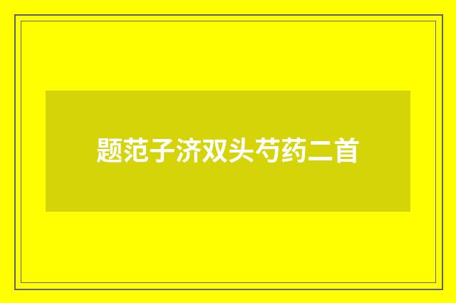 题范子济双头芍药二首