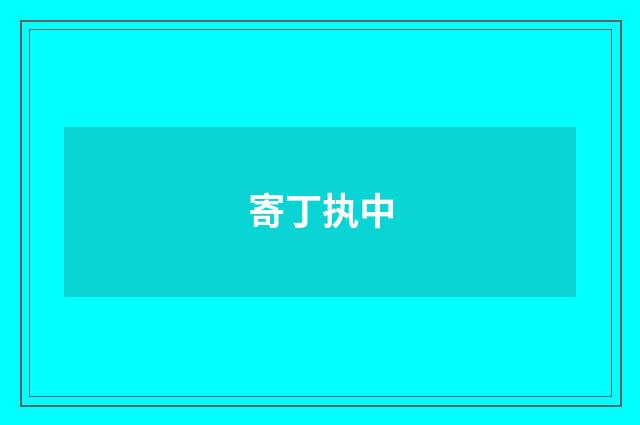 寄丁执中