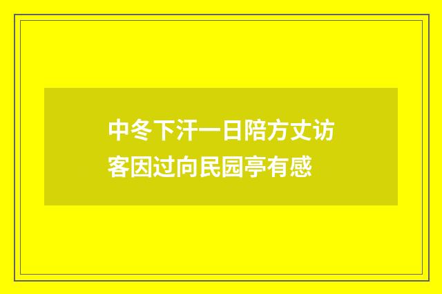 中冬下汗一日陪方丈访客因过向民园亭有感