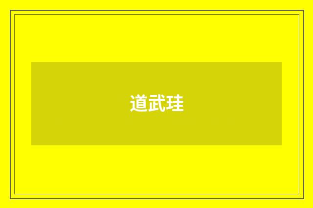道武珪
