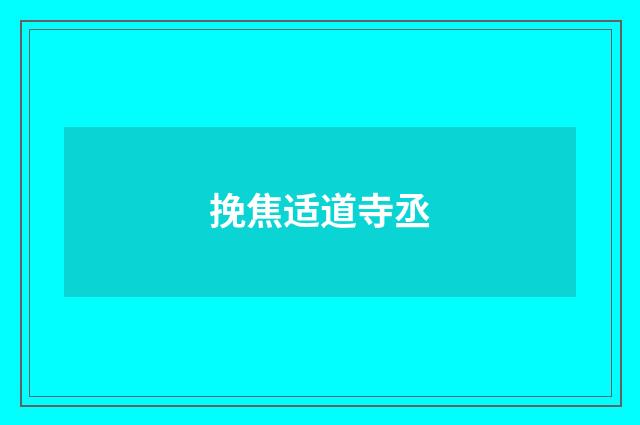 挽焦适道寺丞
