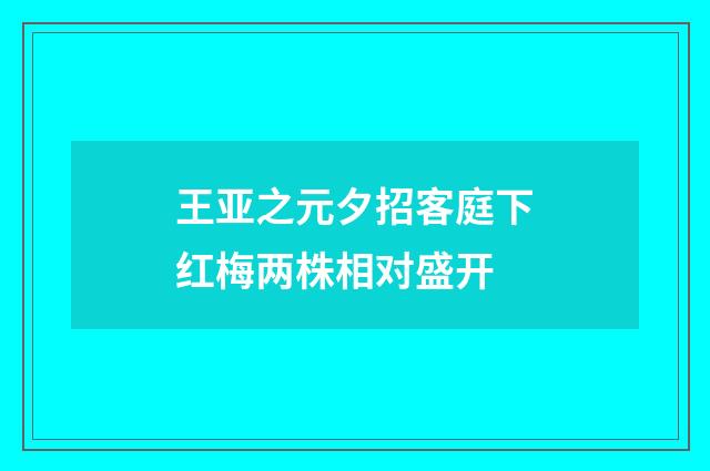 王亚之元夕招客庭下红梅两株相对盛开