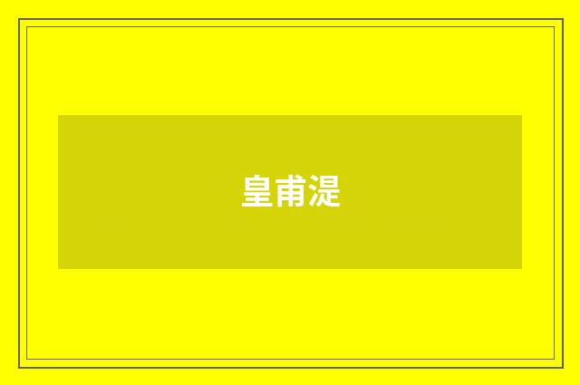 皇甫湜